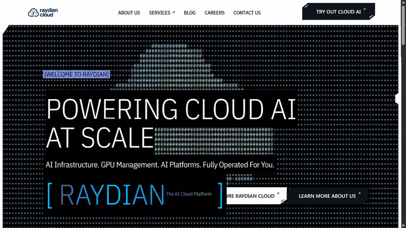 Raydian Cloud homepage with blue ASCII cloud artwork and a large white headline.